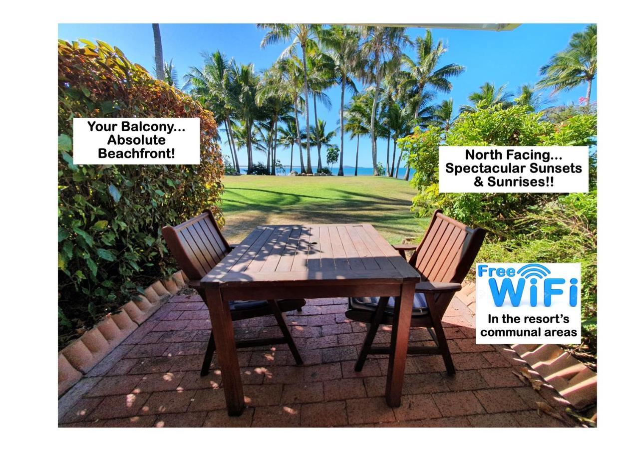 Dolphin Heads - Resort Unit - Absolute Beachfront! - Whitsunday Getaway! Mackay Eksteriør billede
