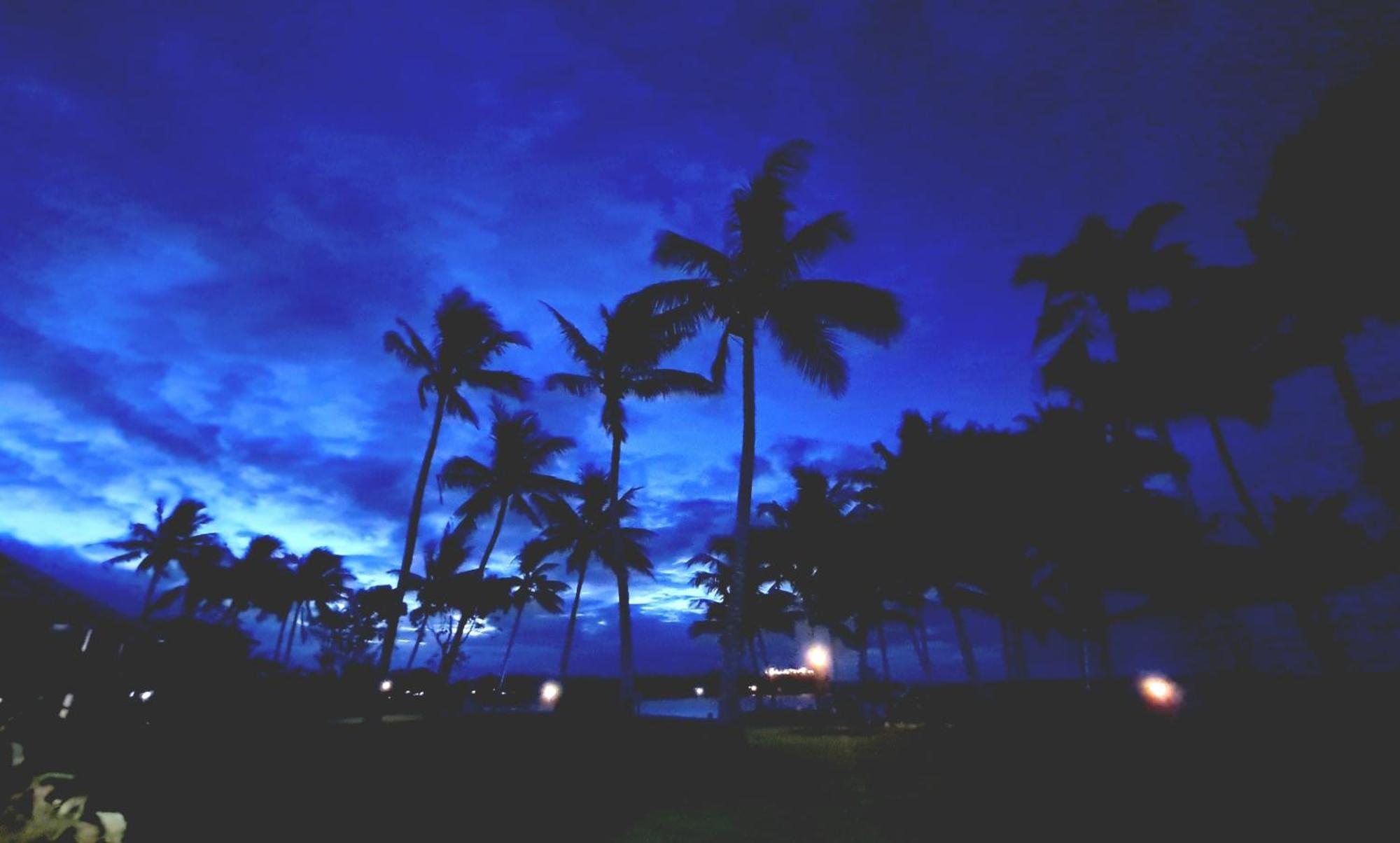 Dolphin Heads - Resort Unit - Absolute Beachfront! - Whitsunday Getaway! Mackay Eksteriør billede