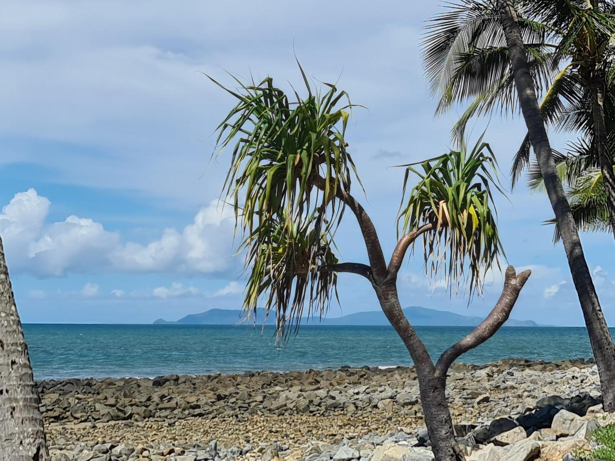 Dolphin Heads - Resort Unit - Absolute Beachfront! - Whitsunday Getaway! Mackay Eksteriør billede