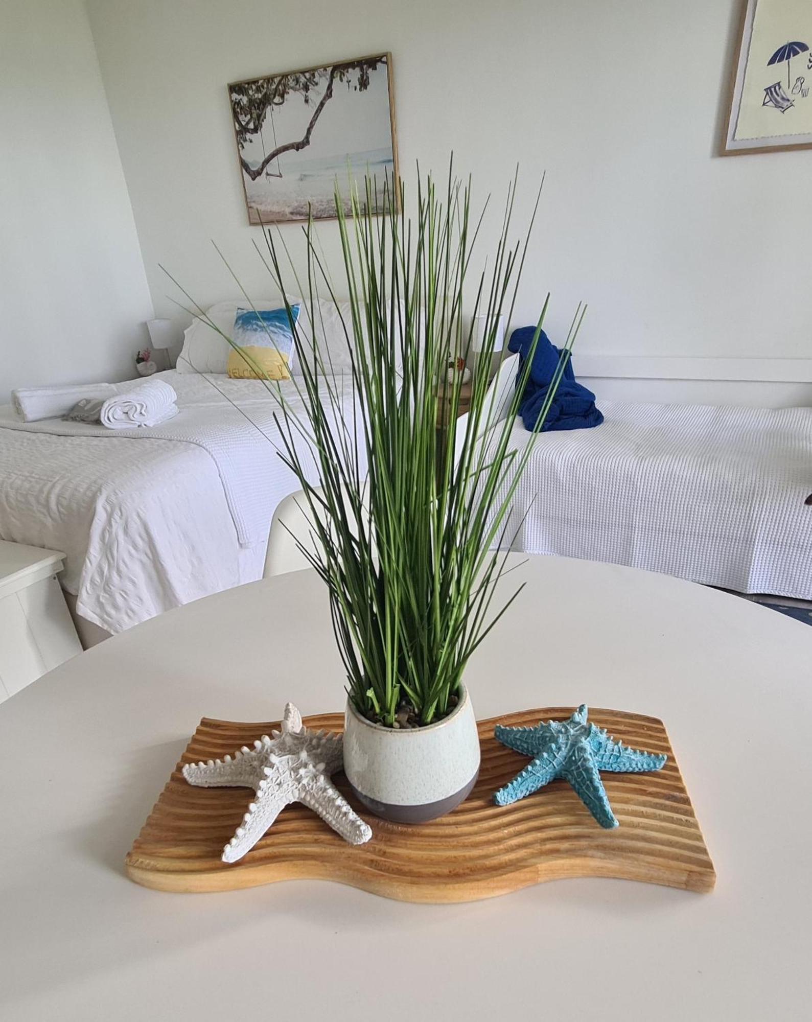 Dolphin Heads - Resort Unit - Absolute Beachfront! - Whitsunday Getaway! Mackay Eksteriør billede